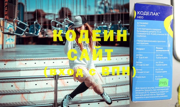 индика Балахна