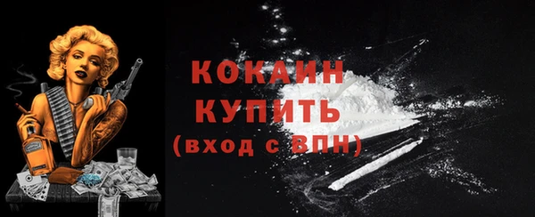индика Балахна