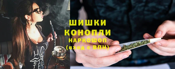 индика Балахна