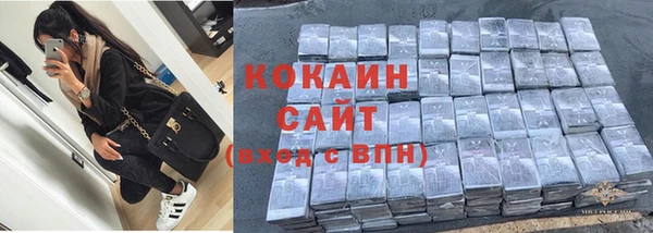 индика Балахна