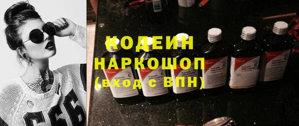 индика Балахна