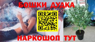 каннабис Будённовск