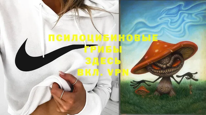 купить наркотики сайты  Бирск  Псилоцибиновые грибы Psilocybe 