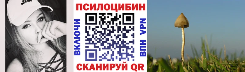 Галлюциногенные грибы мицелий наркота Бирск