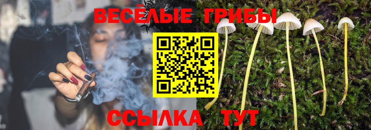 Галлюциногенные грибы Psilocybine cubensis  Вход с VPN  Бирск 