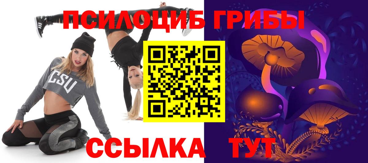 Псилоцибиновые грибы Cubensis Бирск